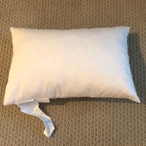 Restoration Hardware pillow insert size 12x18